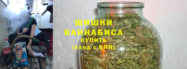 гашик Бородино