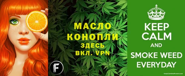 гашик Бородино